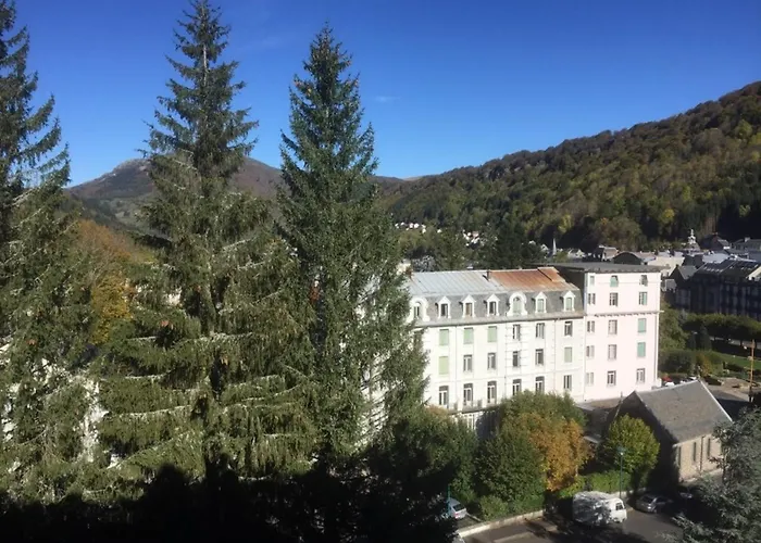 Apartamento F2 Avec Parking Et Animaux Acceptes Au Mont-dore - Fr-1-415-195 *